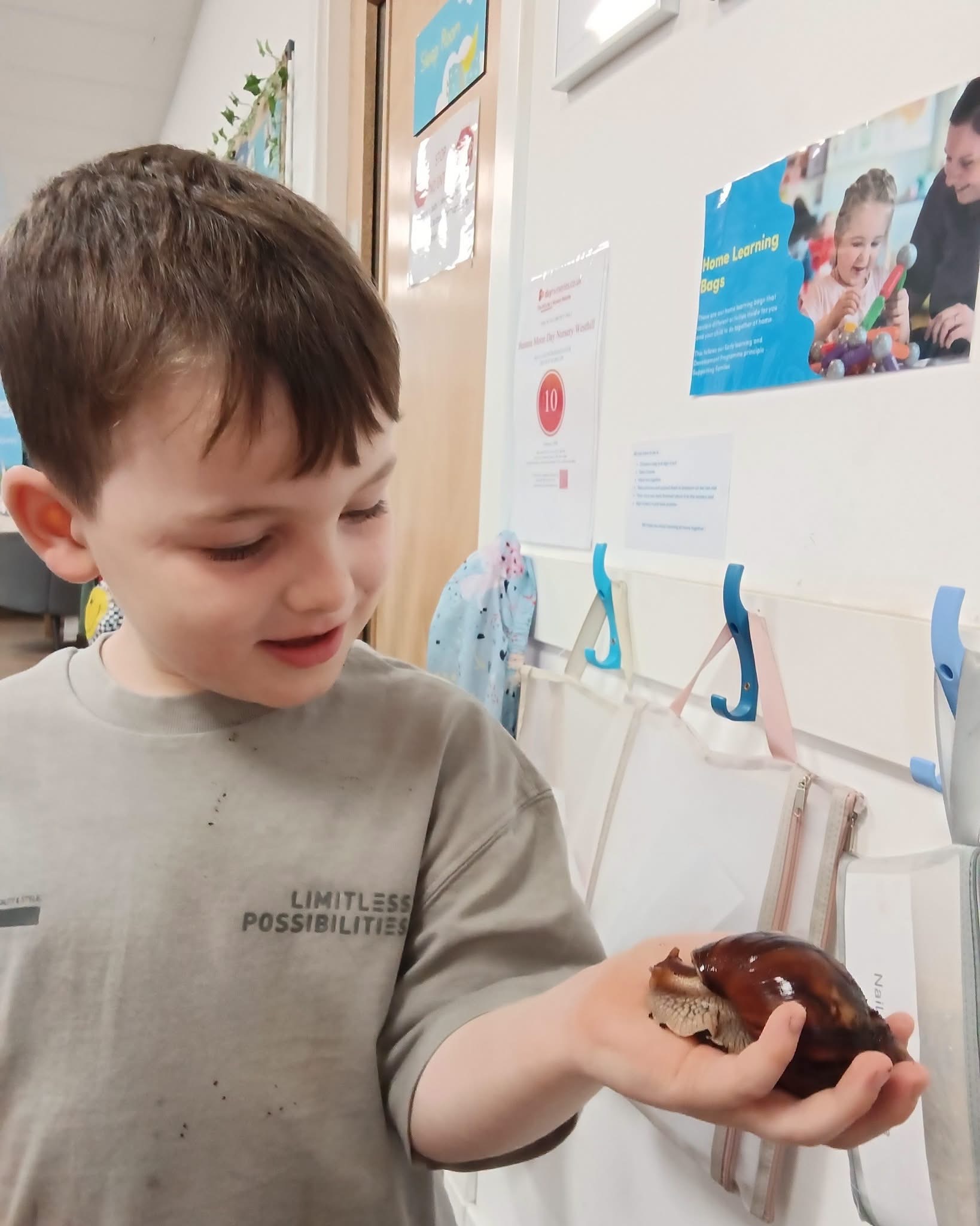 Snack time for our Giant African Snails! 🥬🐌